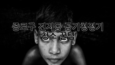 종로구 견지동 공기청정기 청소 꿀팁 💨✨